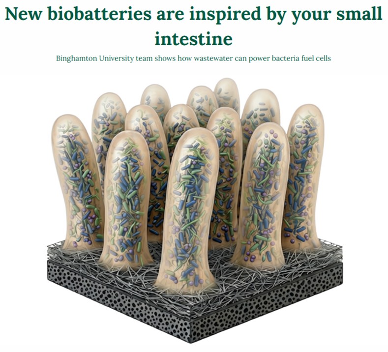 Villi biobattery